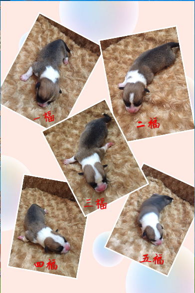 QQ截图20170909112826.png