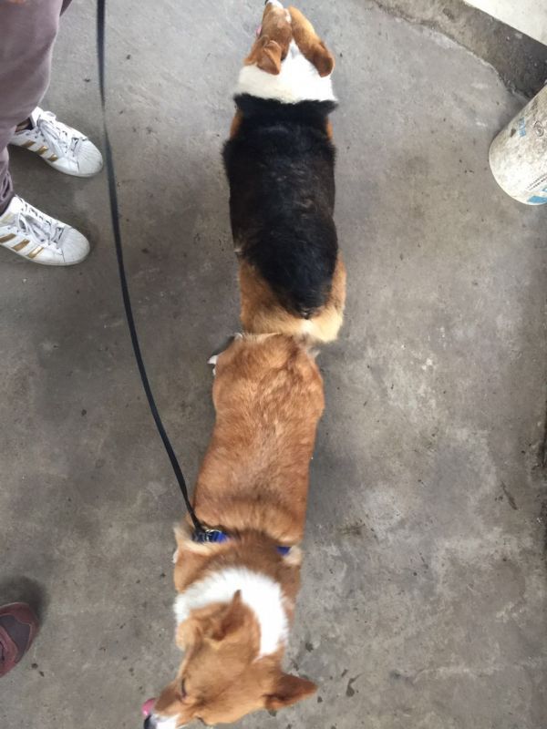 微信图片_20170909172736.jpg