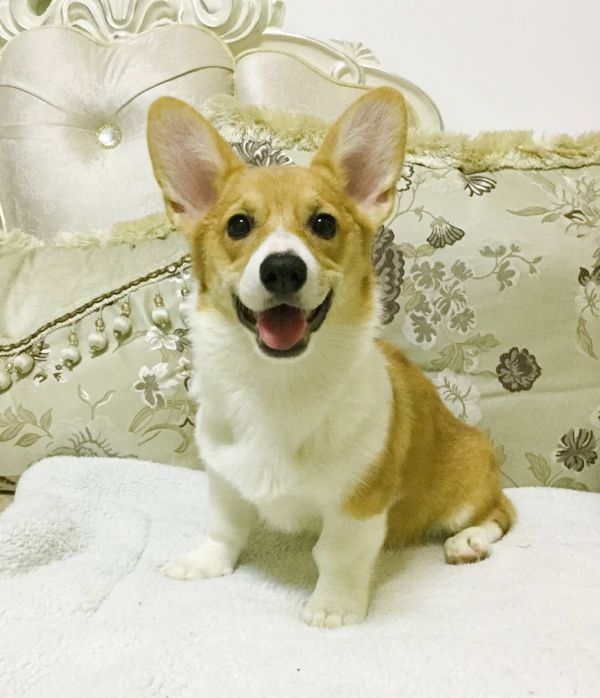 瑶瑶1.jpg