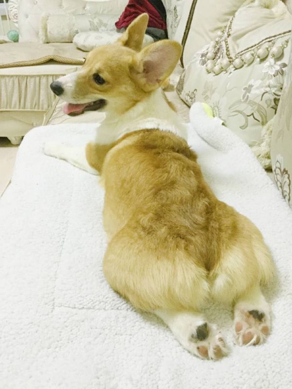 瑶瑶2.jpg