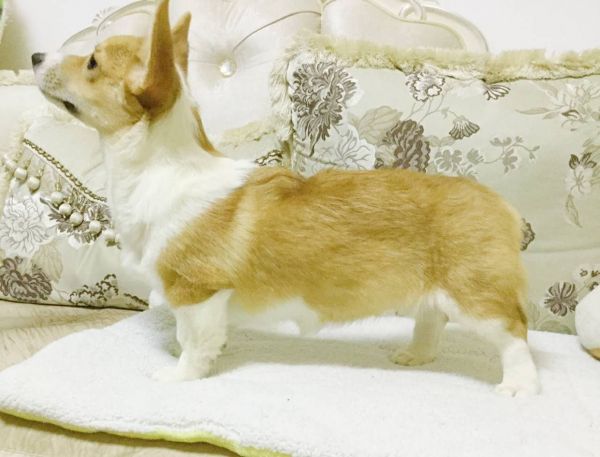 瑶瑶3.jpg