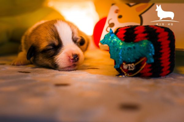 IMG_9744.JPG
