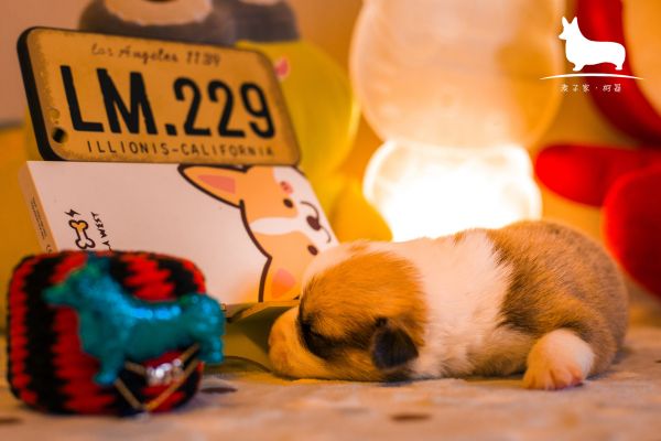 IMG_9866.JPG