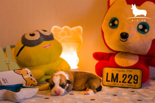 IMG_9847.JPG