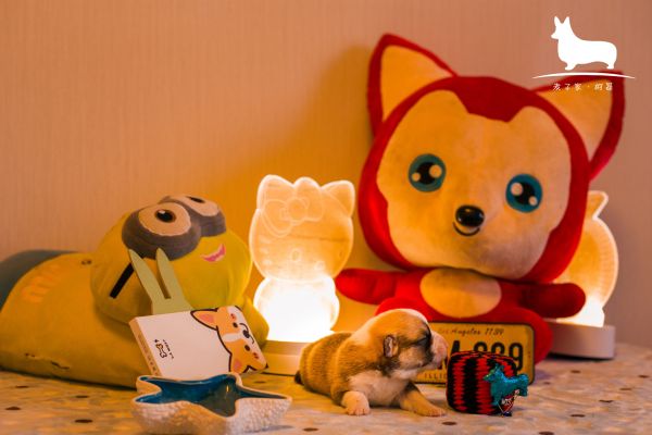 IMG_9856.JPG