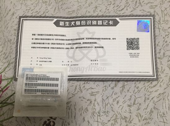 微信图片_20170914212015.jpg