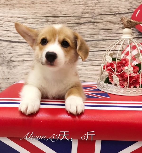 QQ图片20170915092041.jpg