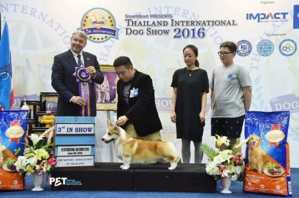 QQ截图20170802152850.jpg