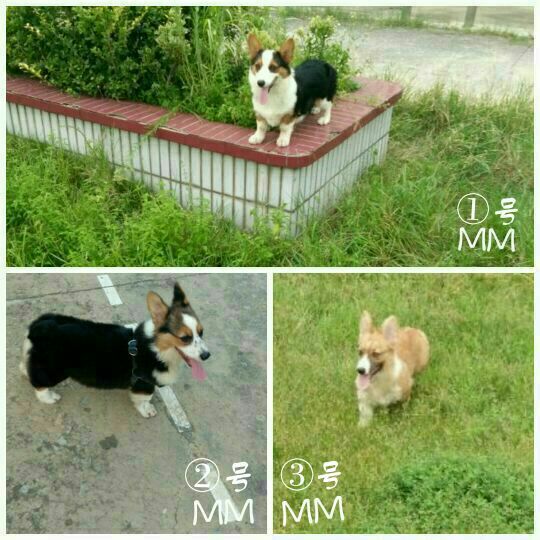 QQ图片20170816142112.jpg