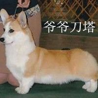 刀塔处理.jpg