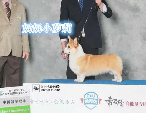 小萝莉1_副本.jpg