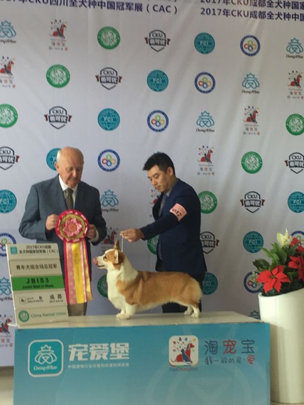 0A4FB8B0-AAEC-4A8B-8DD6-A03A7352D17B-193-00000031C26A35B2_tmp_副本.jpg