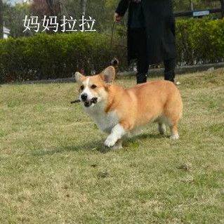 lala处理2.jpg