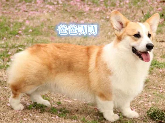 叨叨处理1.jpg