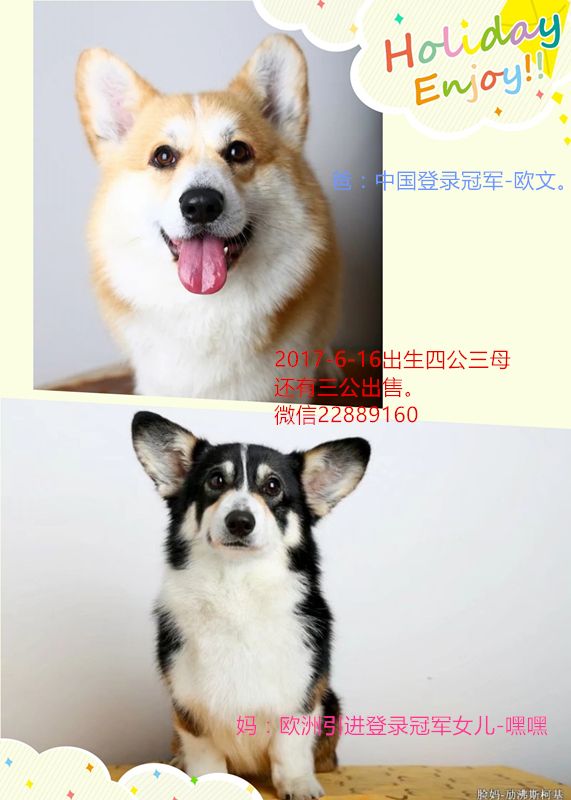 1u_副本.jpg