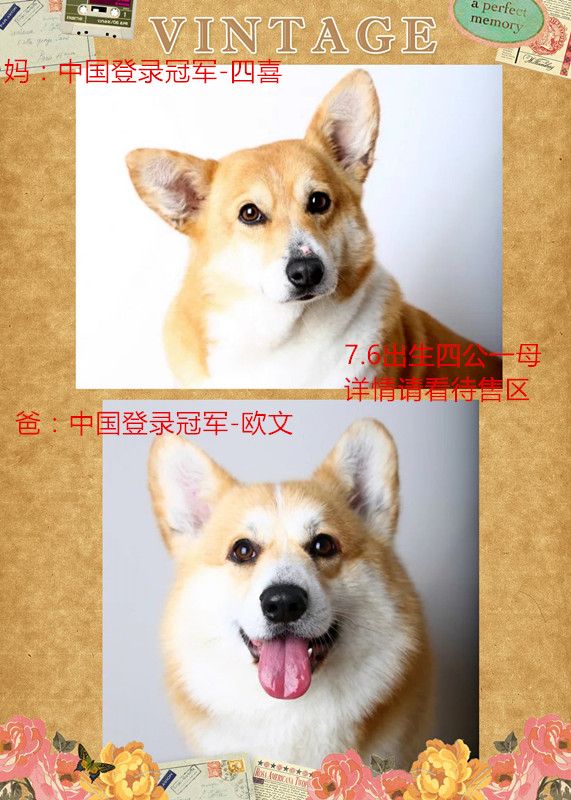 initpintu_副本.jpg
