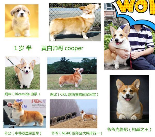 QQ图片20170907164354.jpg