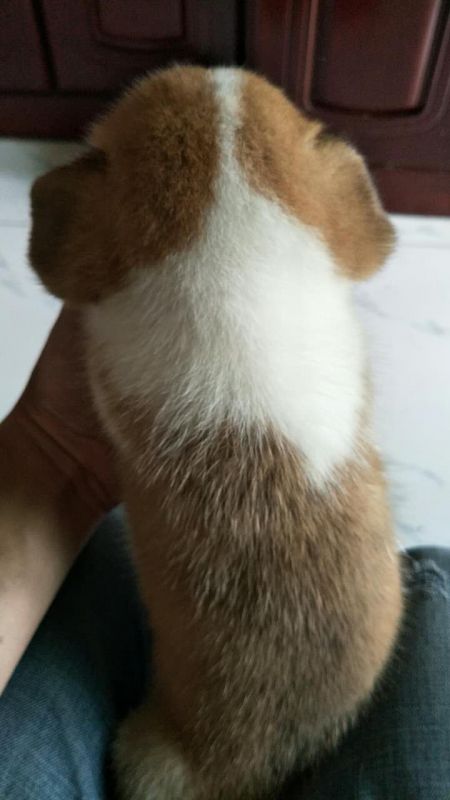 微信图片_20170918203042.jpg