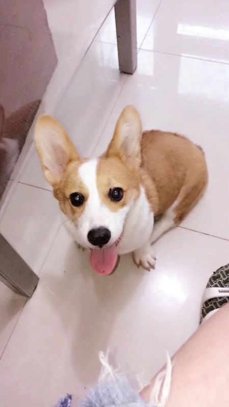 微信图片_20170918203056.jpg