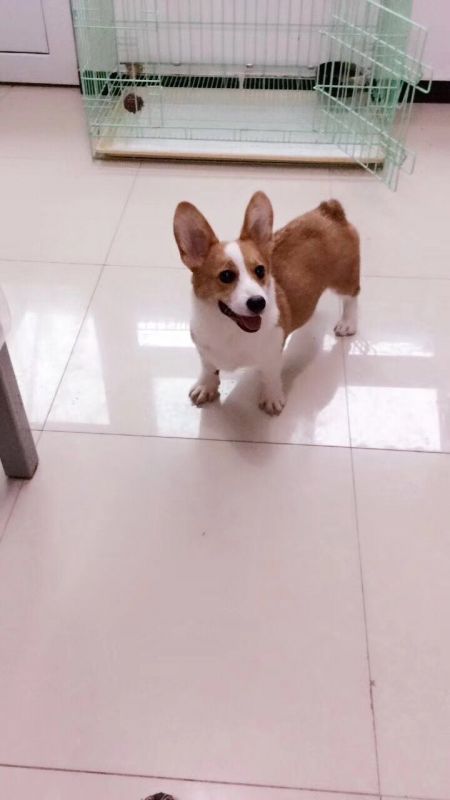 微信图片_20170918203059.jpg