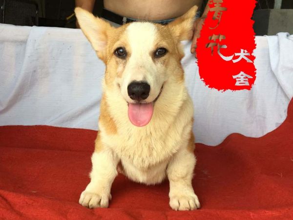 QQ图片20170711210022.jpg