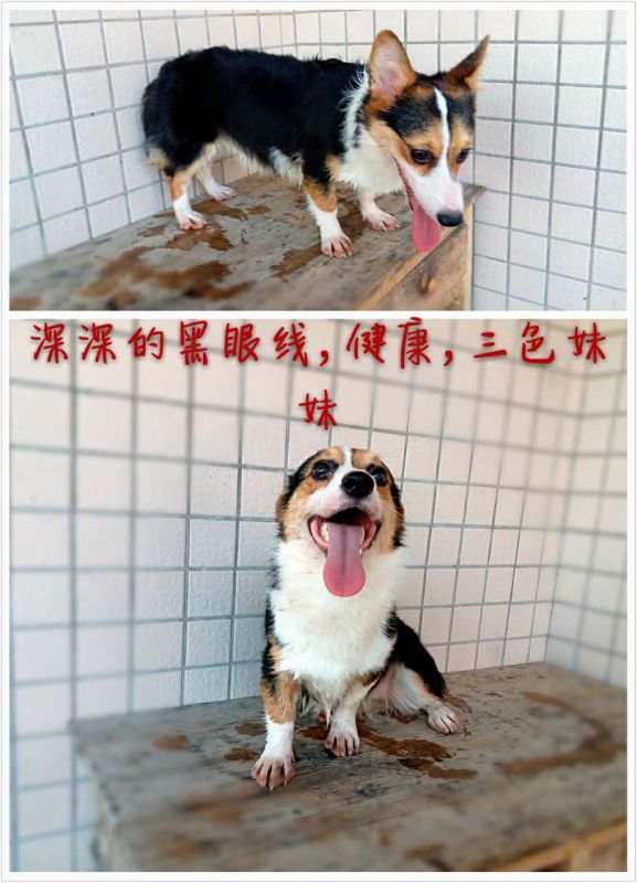 微信图片_20170922195911.jpg
