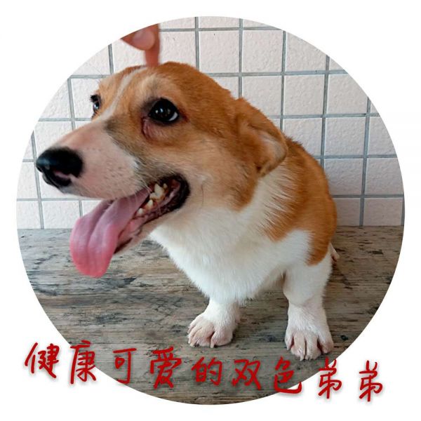 微信图片_20170922195953.jpg