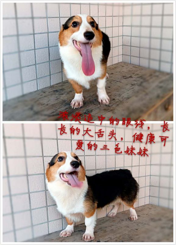 微信图片_20170922200000.jpg
