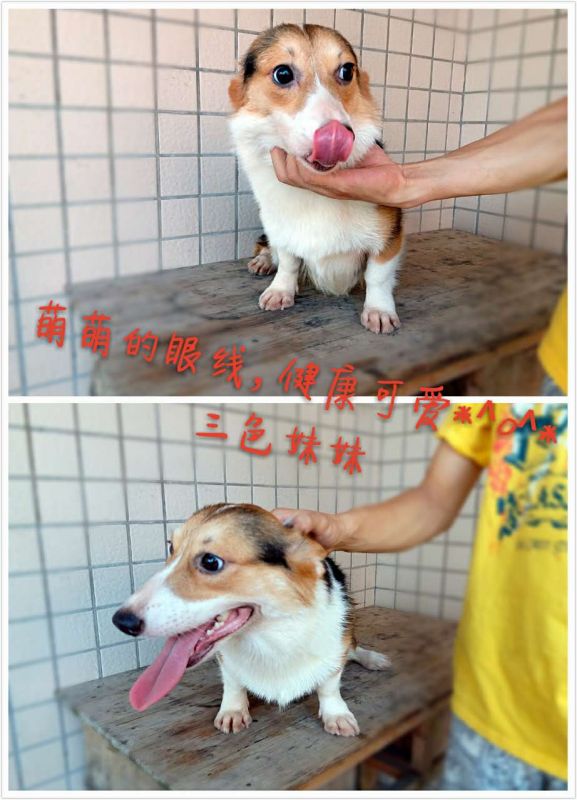 微信图片_20170922200012.jpg