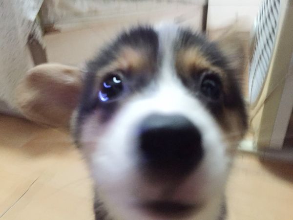微信图片_20170914212008.jpg