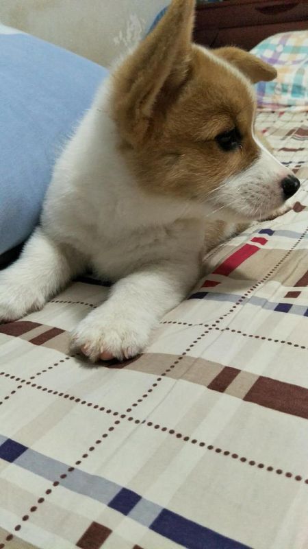 微信图片_20171001132650.jpg