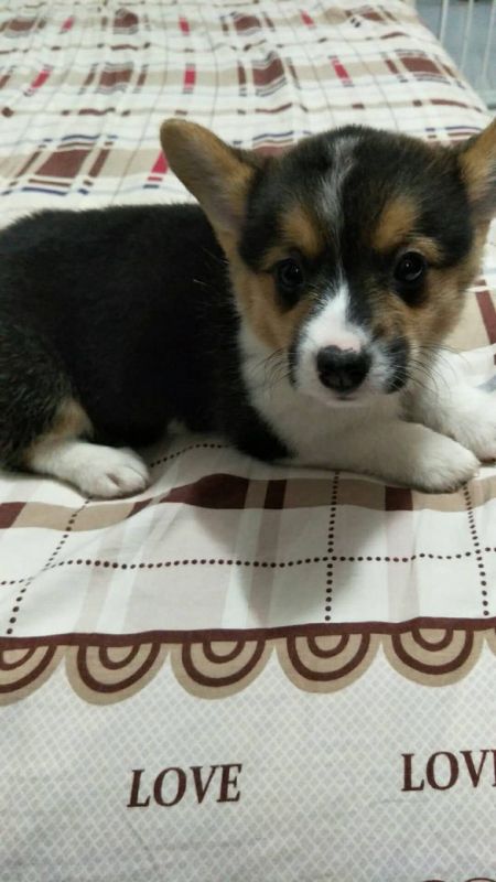 微信图片_20171001132657.jpg