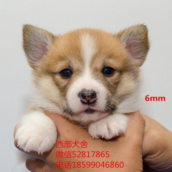 DSC_7286_副本_副本.jpg