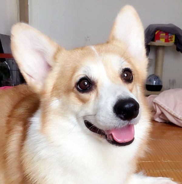 QQ图片20171004204221.jpg
