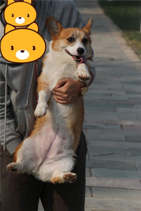 3_副本.jpg