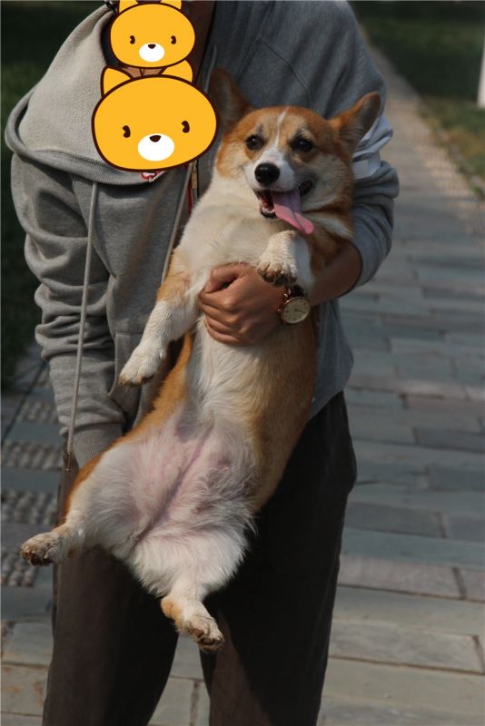 4_副本.jpg