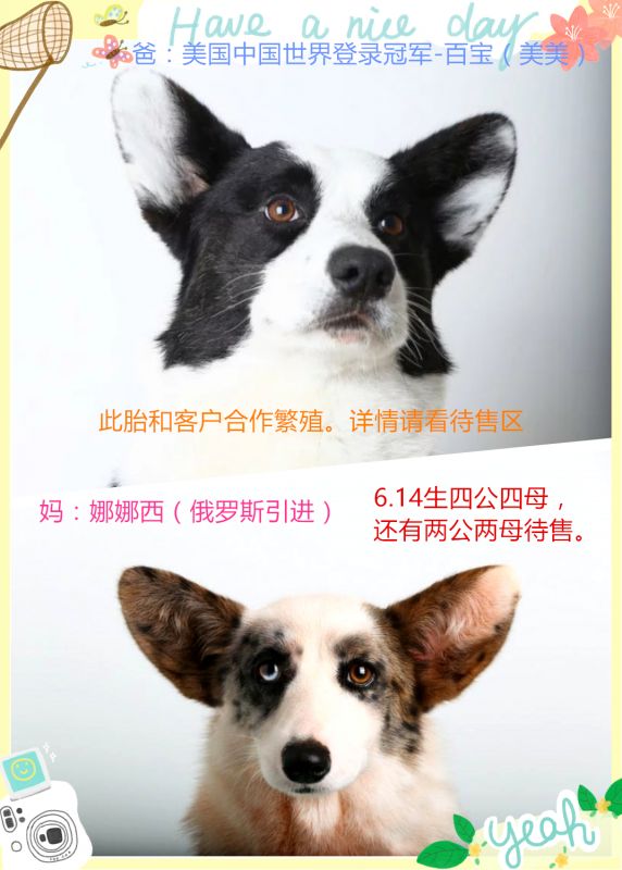 psb (8)_副本.jpg