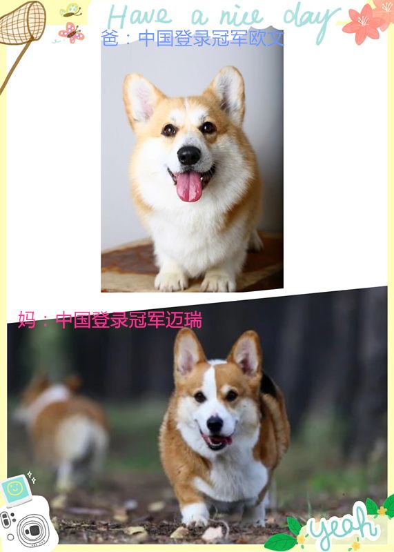 initpintu_副本.jpg