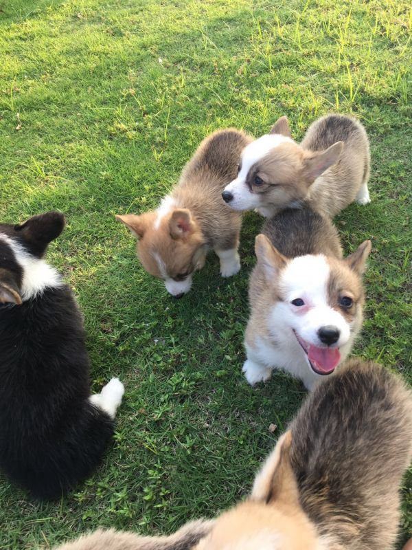 微信图片_20171006183630.jpg