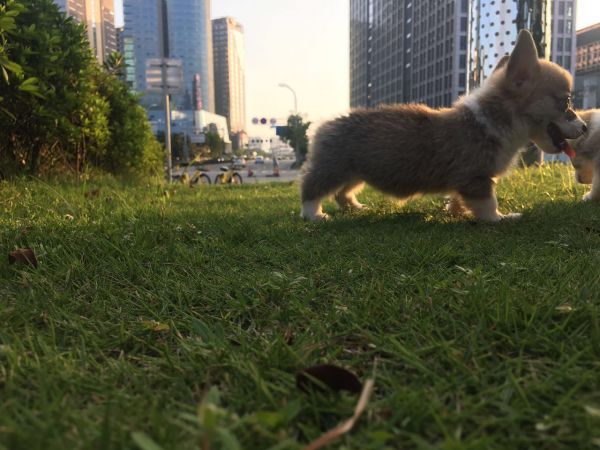 微信图片_20171006183654.jpg