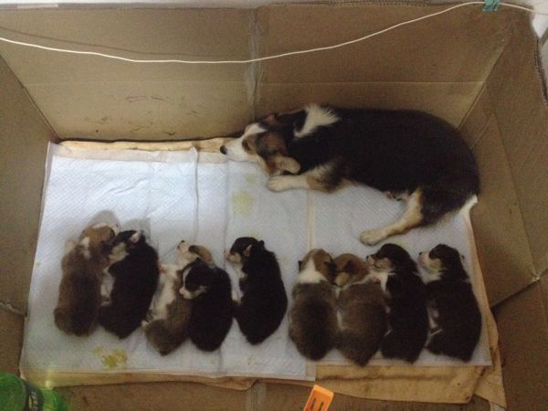 刚喝完奶都睡了