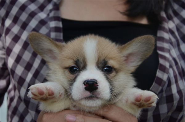 新建文件夹 (2)DSC_5971.JPG