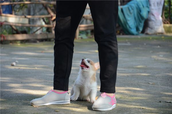 新建文件夹 (2)DSC_6124.JPG