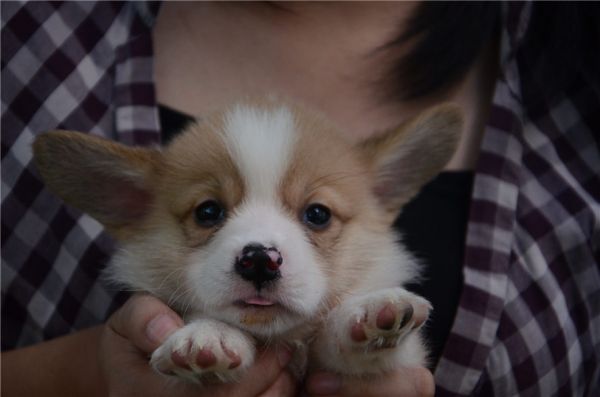 新建文件夹 (2)DSC_6559.JPG