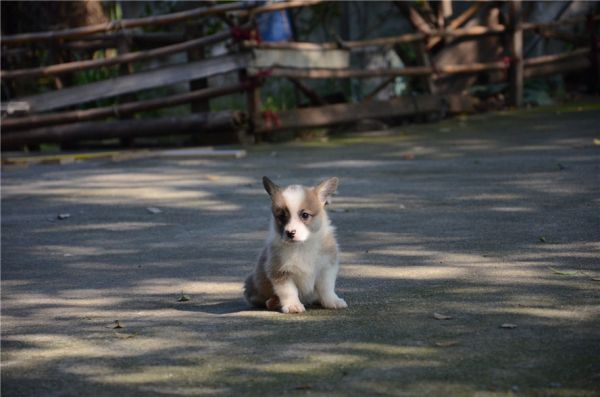 DSC_6176.JPG
