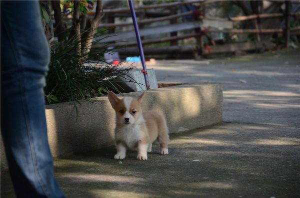 DSC_6623.JPG