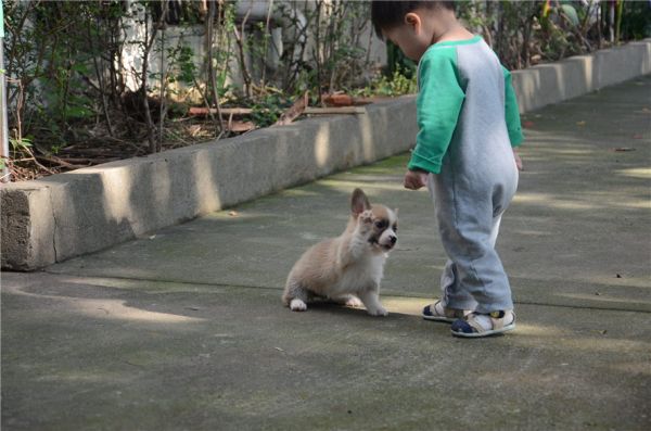 新建文件夹 (2)DSC_5949.JPG