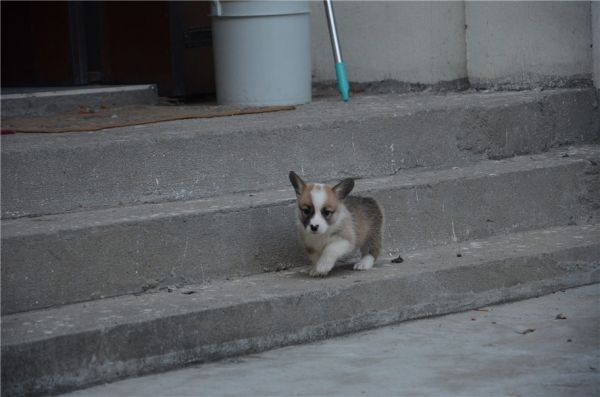 新建文件夹 (2)DSC_6379.JPG