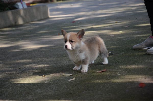 新建文件夹 (2)DSC_5832.JPG