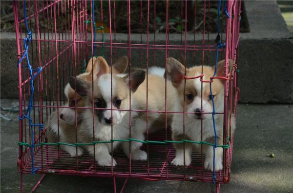 新建文件夹 (2)DSC_6793.JPG